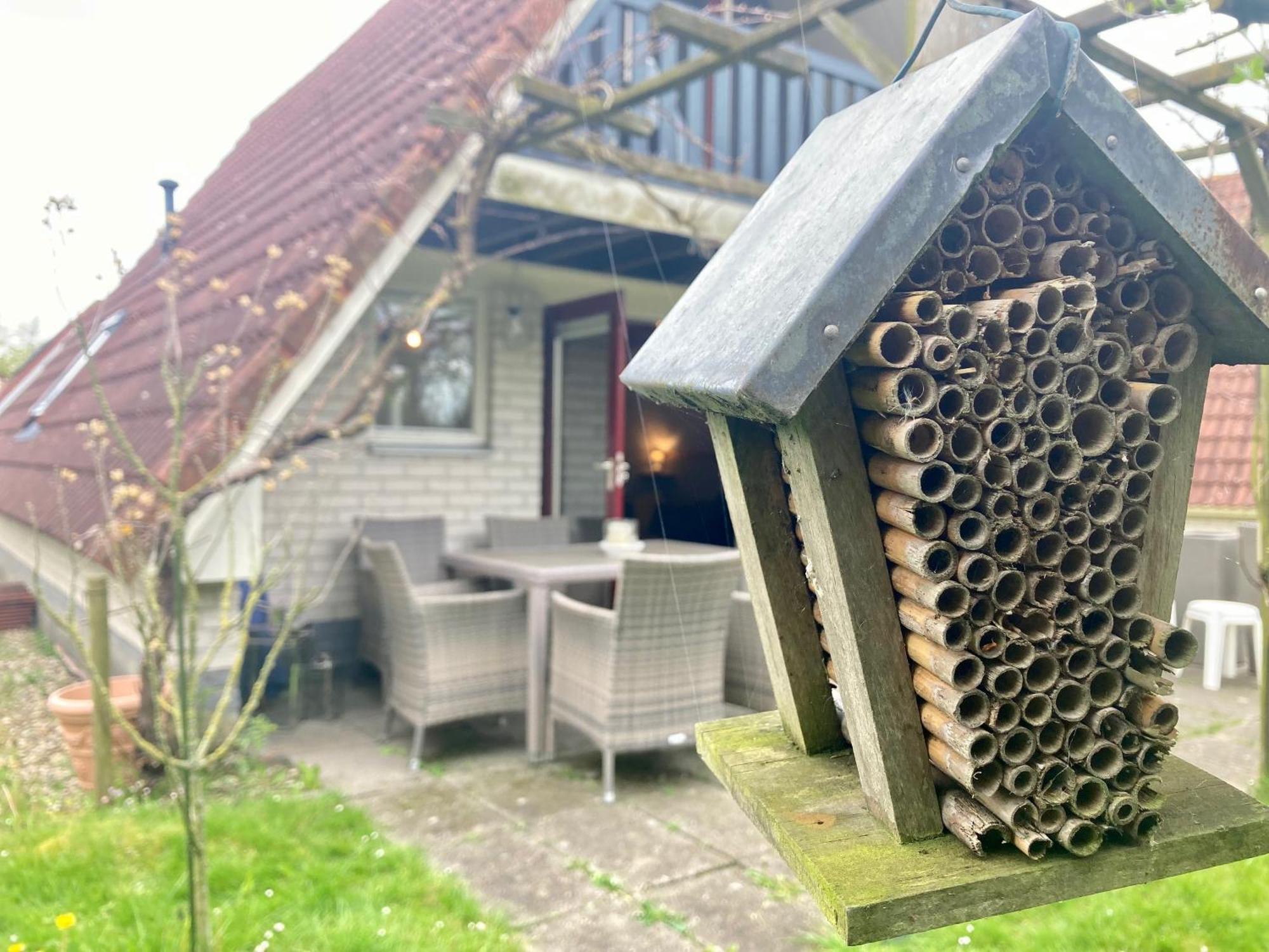 De Druif 6 Pers Holiday Home Close To The National Park Lauwersmeer Anjum Exterior photo